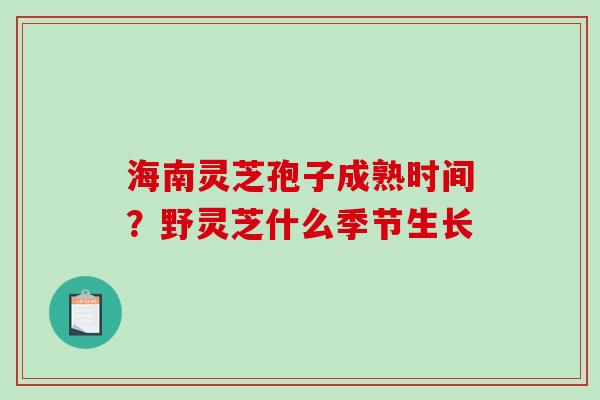 海南灵芝孢子成熟时间?野灵芝什么季节生长 海南灵芝孢子成熟时间?野灵芝什么季节生长