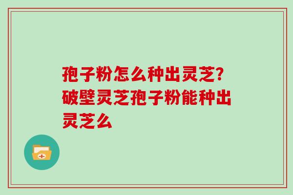 孢子粉怎么种出灵芝?破壁灵芝孢子粉能种出灵芝么 孢子粉怎么种出灵芝?破壁灵芝孢子粉能种出灵芝么