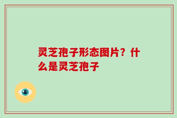 灵芝孢子形态图片?什么是灵芝孢子 灵芝孢子形态图片?什么是灵芝孢子
