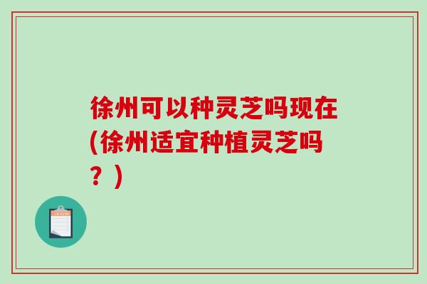 徐州可以种灵芝吗现在(徐州适宜种植灵芝吗?) 徐州可以种灵芝吗现在(徐州适宜种植灵芝吗?)