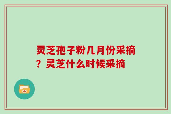 灵芝孢子粉几月份采摘?灵芝什么时候采摘 灵芝孢子粉几月份采摘?灵芝什么时候采摘