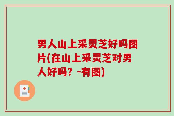 男人山上采灵芝好吗图片(在山上采灵芝对男人好吗?-有图) 男人山上采灵芝好吗图片(在山上采灵芝对男人好吗?-有图)