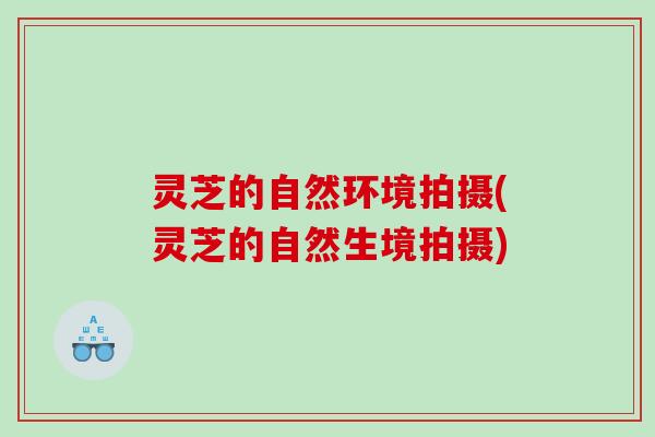 灵芝的自然环境拍摄(灵芝的自然生境拍摄)