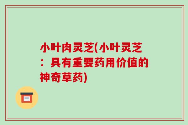 小叶肉灵芝(小叶灵芝：具有重要药用价值的神奇草药)