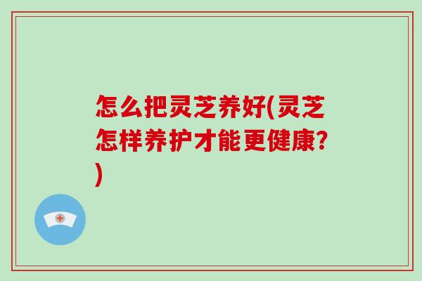 怎么把灵芝养好(灵芝怎样养护才能更健康?) 怎么把灵芝养好(灵芝怎样养护才能更健康?)