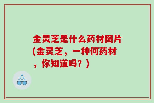 金灵芝是什么药材图片(金灵芝,一种何药材,你知道吗?) 金灵芝是什么药材图片(金灵芝,一种何药材,你知道吗?)