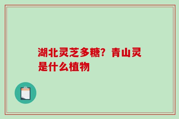 湖北灵芝多糖?青山灵是什么植物 湖北灵芝多糖?青山灵是什么植物