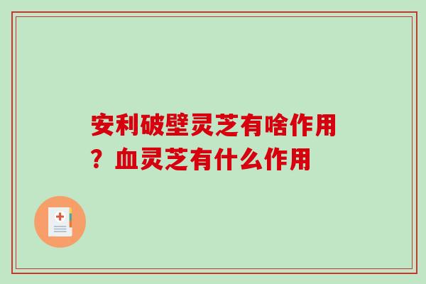 安利破壁灵芝有啥作用？血灵芝有什么作用