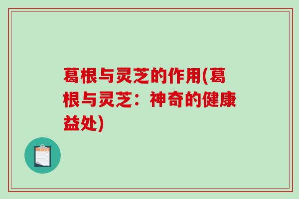 葛根与灵芝的作用(葛根与灵芝:神奇的健康益处) 葛根与灵芝的作用(葛根与灵芝:神奇的健康益处)