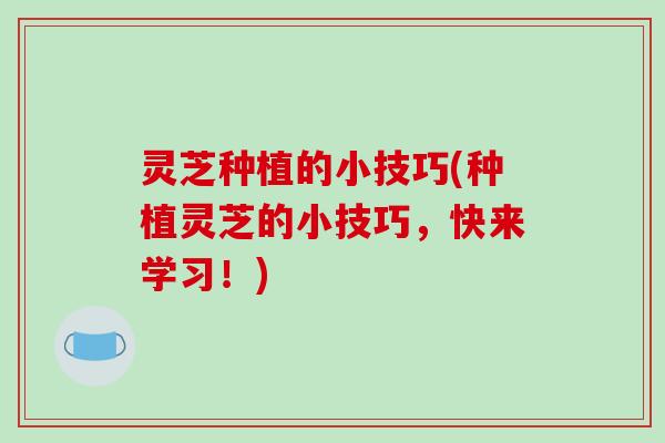 灵芝种植的小技巧(种植灵芝的小技巧，快来学习！)