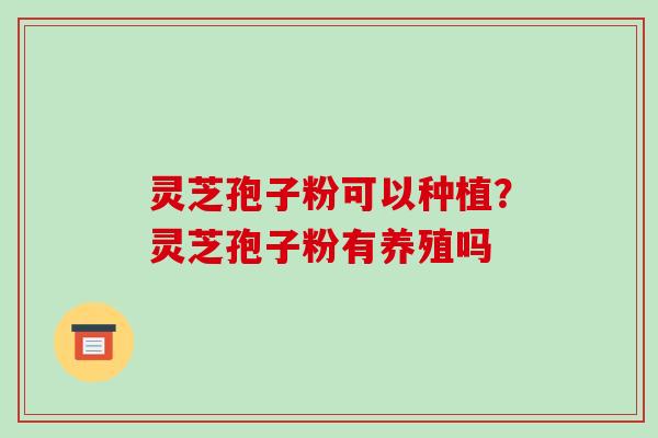 灵芝孢子粉可以种植？灵芝孢子粉有养殖吗