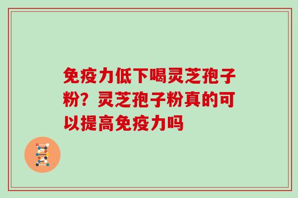 免疫力低下喝灵芝孢子粉？灵芝孢子粉真的可以提高免疫力吗