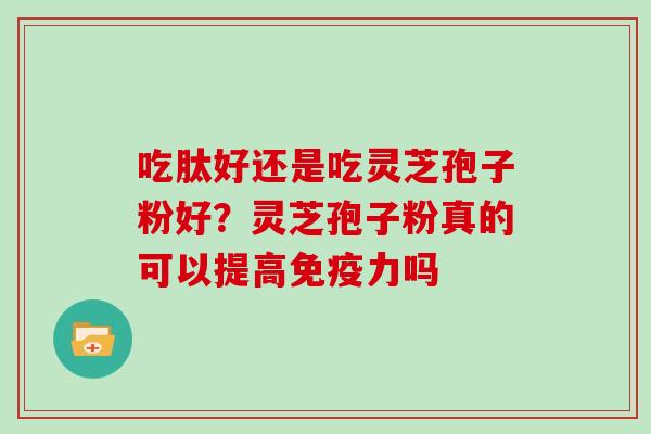 吃肽好还是吃灵芝孢子粉好？灵芝孢子粉真的可以提高免疫力吗