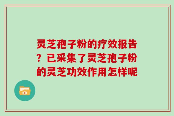 灵芝孢子粉的疗效报告?已采集了灵芝孢子粉的灵芝功效作用怎样呢 灵芝孢子粉的疗效报告?已采集了灵芝孢子粉的灵芝功效作用怎样呢