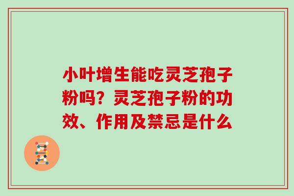 小叶增生能吃灵芝孢子粉吗？灵芝孢子粉的功效、作用及禁忌是什么