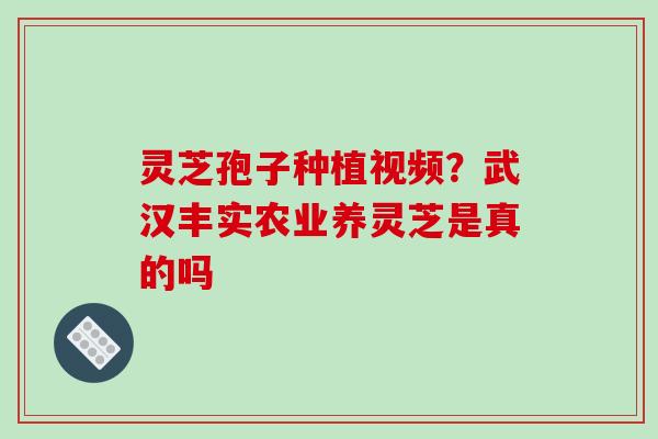 灵芝孢子种植视频?武汉丰实农业养灵芝是真的吗 灵芝孢子种植视频?武汉丰实农业养灵芝是真的吗