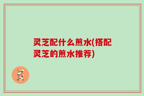 灵芝配什么煎水(搭配灵芝的煎水推荐)