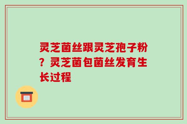 灵芝菌丝跟灵芝孢子粉?灵芝菌包菌丝发育生长过程 灵芝菌丝跟灵芝孢子粉?灵芝菌包菌丝发育生长过程