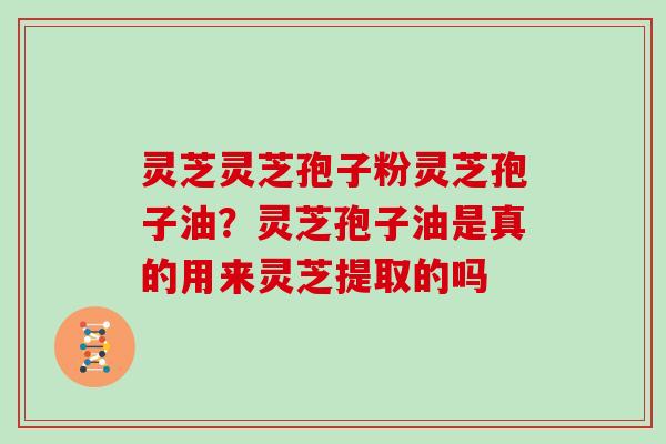 灵芝灵芝孢子粉灵芝孢子油?灵芝孢子油是真的用来灵芝提取的吗 灵芝灵芝孢子粉灵芝孢子油?灵芝孢子油是真的用来灵芝提取的吗
