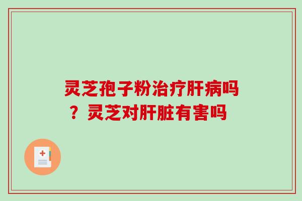 灵芝孢子粉治疗肝病吗 ？灵芝对肝脏有害吗