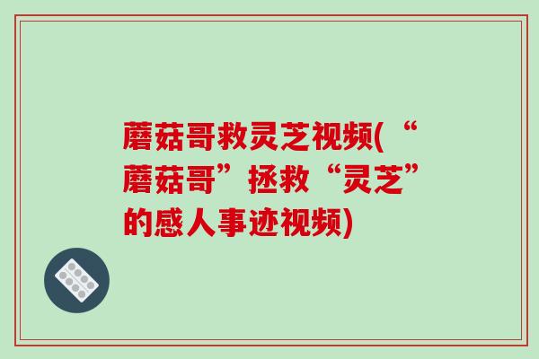 蘑菇哥救灵芝视频(“蘑菇哥”拯救“灵芝”的感人事迹视频)