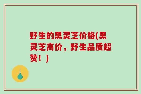 野生的黑灵芝价格(黑灵芝高价，野生品质超赞！)