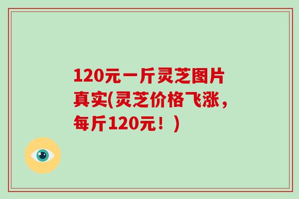 120元一斤灵芝图片真实(灵芝价格飞涨,每斤120元!) 120元一斤灵芝图片真实(灵芝价格飞涨,每斤120元!)