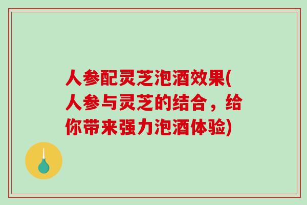 人参配灵芝泡酒效果(人参与灵芝的结合，给你带来强力泡酒体验)