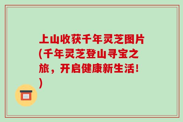 上山收获千年灵芝图片(千年灵芝登山寻宝之旅,开启健康新生活!) 上山收获千年灵芝图片(千年灵芝登山寻宝之旅,开启健康新生活!)