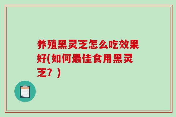 养殖黑灵芝怎么吃效果好(如何最佳食用黑灵芝？)