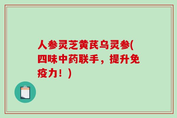 人参灵芝黄芪乌灵参(四味联手,提升免疫力!) 人参灵芝黄芪乌灵参(四味联手,提升免疫力!)
