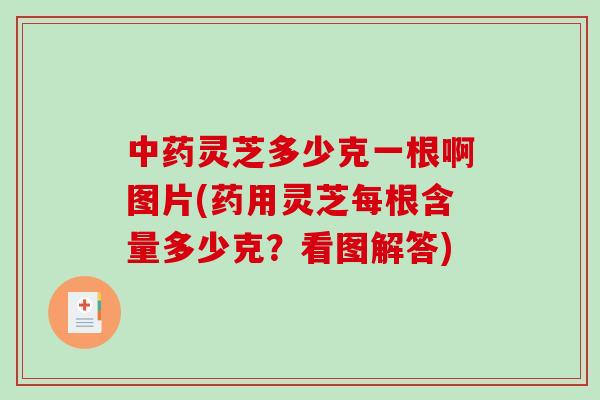 灵芝多少克一根啊图片(药用灵芝每根含量多少克?看图解答) 灵芝多少克一根啊图片(药用灵芝每根含量多少克?看图解答)
