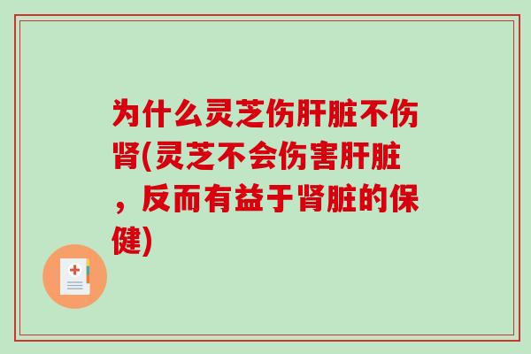 为什么灵芝伤肝脏不伤肾(灵芝不会伤害肝脏，反而有益于肾脏的保健)
