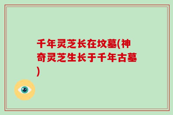 千年灵芝长在坟墓(神奇灵芝生长于千年古墓) 千年灵芝长在坟墓(神奇灵芝生长于千年古墓)