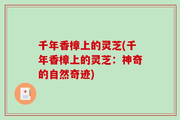 千年香樟上的灵芝(千年香樟上的灵芝：神奇的自然奇迹)