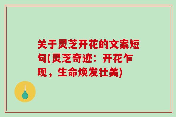 关于灵芝开花的文案短句(灵芝奇迹:开花乍现,生命焕发壮美) 关于灵芝开花的文案短句(灵芝奇迹:开花乍现,生命焕发壮美)
