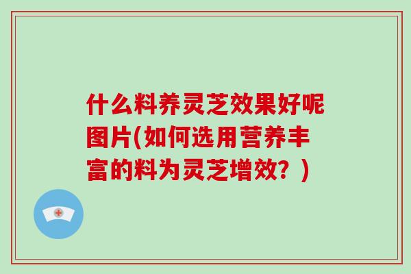 什么料养灵芝效果好呢图片(如何选用营养丰富的料为灵芝增效?) 什么料养灵芝效果好呢图片(如何选用营养丰富的料为灵芝增效?)