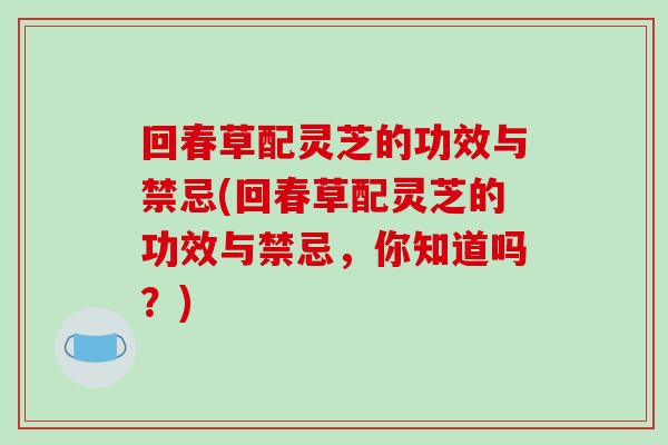 回春草配灵芝的功效与禁忌(回春草配灵芝的功效与禁忌,你知道吗?) 回春草配灵芝的功效与禁忌(回春草配灵芝的功效与禁忌,你知道吗?)