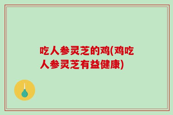 吃人参灵芝的鸡(鸡吃人参灵芝有益健康) 吃人参灵芝的鸡(鸡吃人参灵芝有益健康)
