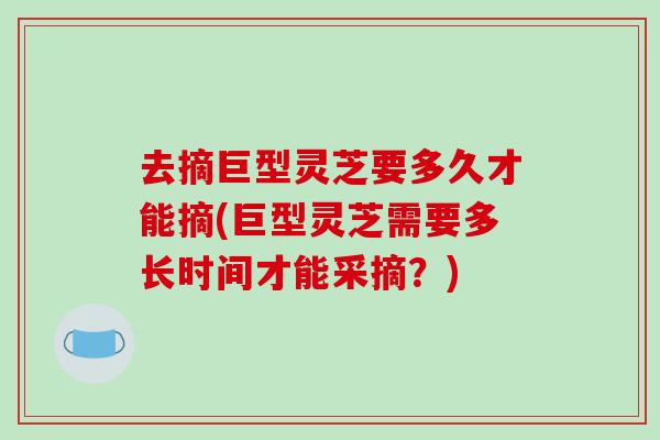 去摘巨型灵芝要多久才能摘(巨型灵芝需要多长时间才能采摘？)