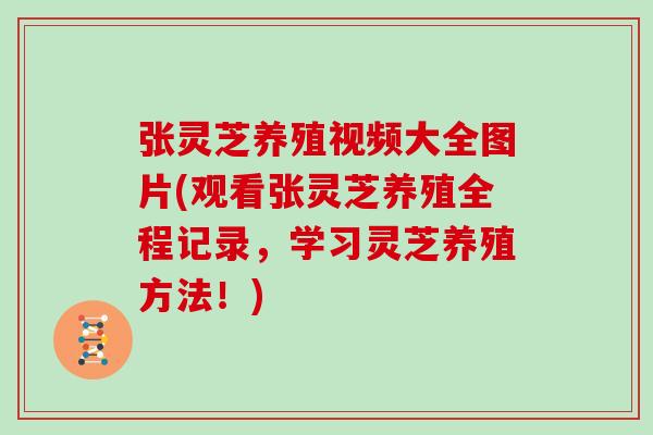 张灵芝养殖视频大全图片(观看张灵芝养殖全程记录，学习灵芝养殖方法！)