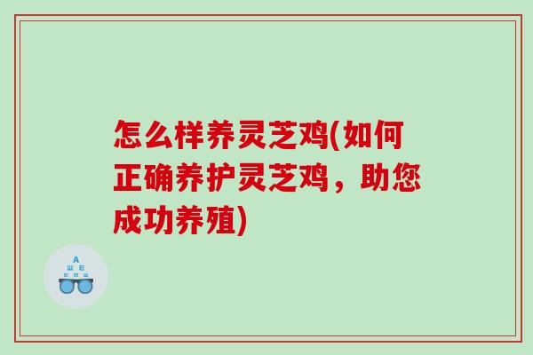 怎么样养灵芝鸡(如何正确养护灵芝鸡，助您成功养殖)