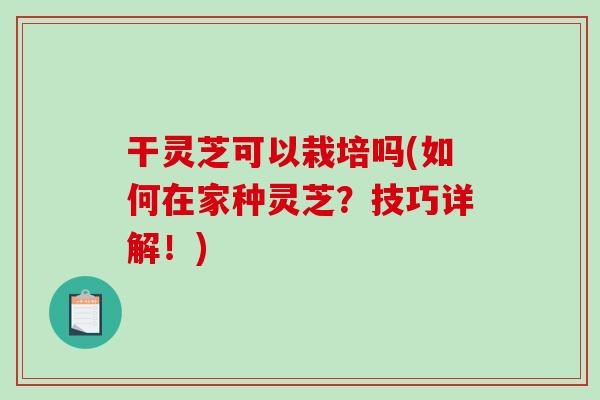 干灵芝可以栽培吗(如何在家种灵芝？技巧详解！)
