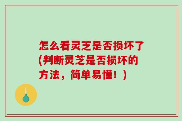 怎么看灵芝是否损坏了(判断灵芝是否损坏的方法,简单易懂!) 怎么看灵芝是否损坏了(判断灵芝是否损坏的方法,简单易懂!)