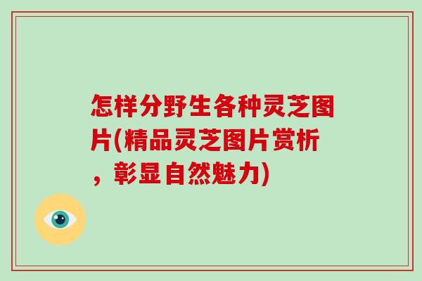 怎样分野生各种灵芝图片(精品灵芝图片赏析，彰显自然魅力)