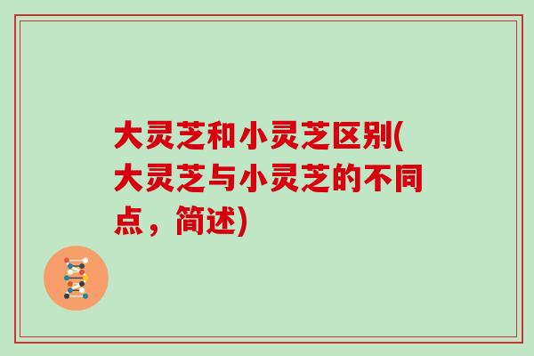 大灵芝和小灵芝区别(大灵芝与小灵芝的不同点,简述) 大灵芝和小灵芝区别(大灵芝与小灵芝的不同点,简述)