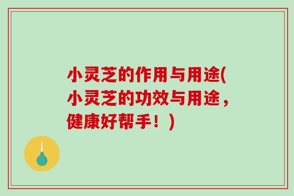 小灵芝的作用与用途(小灵芝的功效与用途,健康好帮手!) 小灵芝的作用与用途(小灵芝的功效与用途,健康好帮手!)