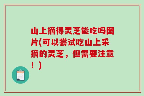 山上摘得灵芝能吃吗图片(可以尝试吃山上采摘的灵芝,但需要注意!) 山上摘得灵芝能吃吗图片(可以尝试吃山上采摘的灵芝,但需要注意!)
