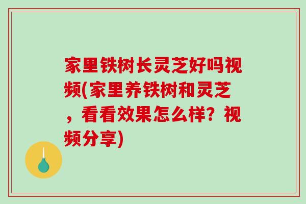 家里铁树长灵芝好吗视频(家里养铁树和灵芝，看看效果怎么样？视频分享)