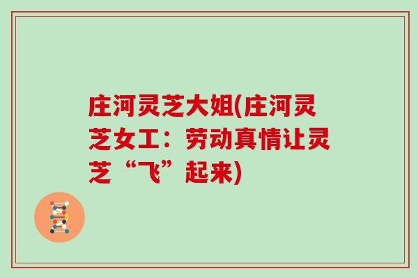 庄河灵芝大姐(庄河灵芝女工:劳动真情让灵芝“飞”起来) 庄河灵芝大姐(庄河灵芝女工:劳动真情让灵芝“飞”起来)